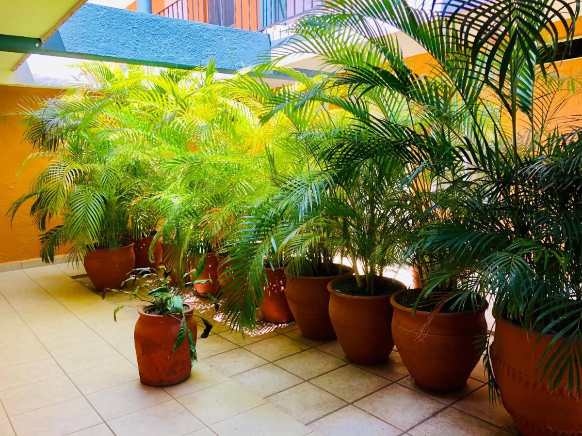 Hotel Playa Del Parque By Rotamundos Huatulco エクステリア 写真